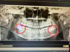 -上海市徐汇区口腔医院