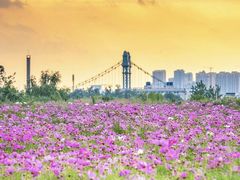 -汉江湾体育公园