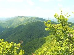 -天女山森林公园