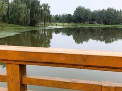 -东郊湿地公园