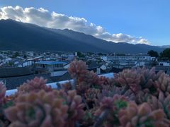 -唐咖精品咖啡(大理古城手冲店)
