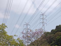 -小南山公园