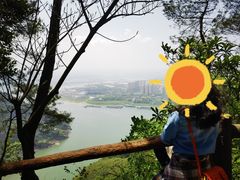 -铁山坪森林公园