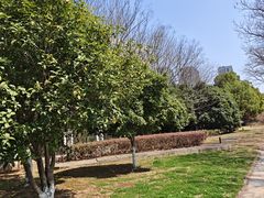 -河海大学(江宁校区)