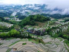 -紫鹊界梯田景区