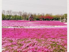 -石家庄市植物园