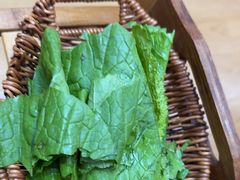 -阿婆情腊排骨火锅·野生菌季(古城旗舰店)