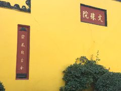 -龙抄手(文殊坊店)