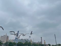 -星海广场