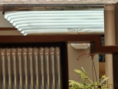 -莲湖糕团店·老秦淮小吃