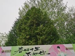 -仁和公园(顺义区)