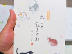 -伊东屋(本店)