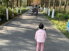 -昆山城市生态森林公园