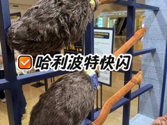 -上海世纪汇广场