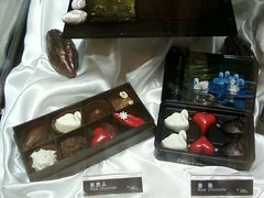 -BLACKSWAN黑天鹅(环球店)
