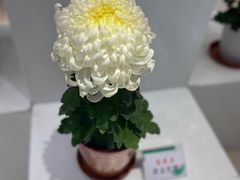 -汇龙潭