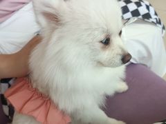 -怪兽屋·羊驼·猫咖·狗咖(俊华广场店)