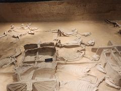 -洛阳周王城天子驾六博物馆