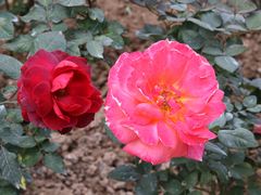 -人民公园(罗湖区)