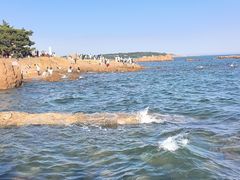 -青岛第二海水浴场