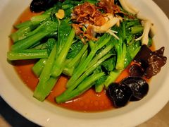 白灼菌菇菜心-新白鹿餐厅(金鹰新街口店)