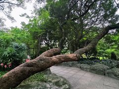 -晓港公园