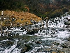 -叠溪松坪沟景区