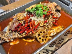 -鱼酷活鱼烤鱼(静安大融城店)