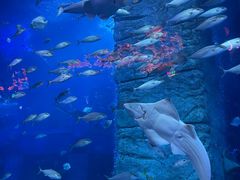 -正佳极地海洋世界