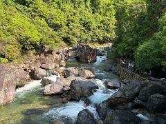-石台牯牛降景区