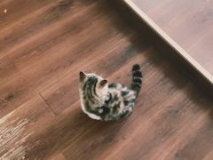 -参差咖啡(水果湖公园店)