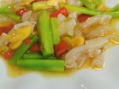 -明升萝卜汤