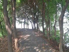 android_upload_pic-梁鸿国家湿地公园