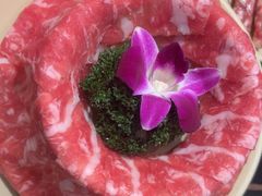 -蜀大侠火锅(四川北路店)