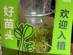 -海底捞火锅(贵和购物中心店.原鲁能城店)
