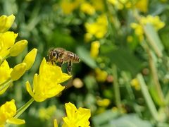 -同济大学(嘉定校区)