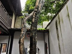 -绍兴鲁迅故里·沈园景区