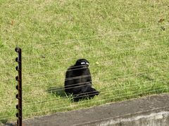 -上海野生动物园