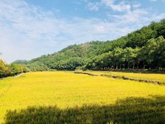 -韶山毛泽东同志故居