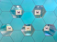 -上海昆虫博物馆