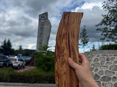 -汤旺河林海奇石景区
