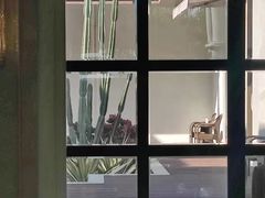 -福建鲤鱼洲酒店