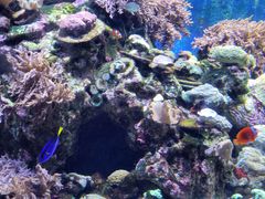 -珠海长隆海洋王国