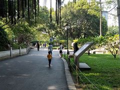 -晓港公园