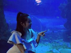 -成都浩海立方海洋公园