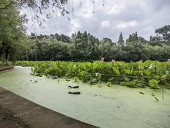 -月牙潭公园