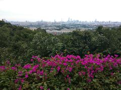 -火炉山森林公园