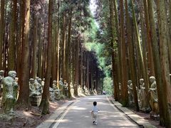 -武陵山森林公园