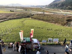 -岚山嵯峨野观光小火车