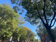 -天津五大道文化旅游区